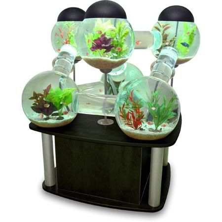 cool-aquarium.jpg