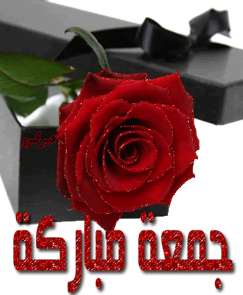 Arabic Graphics Photo Picture