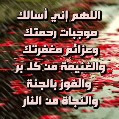 Arabic Graphics Photo Picture