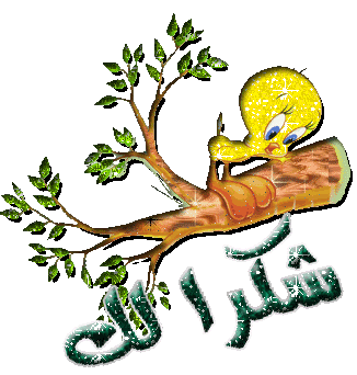 Arabic Graphics Photo Picture