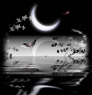 Arabic Graphics Photo Picture