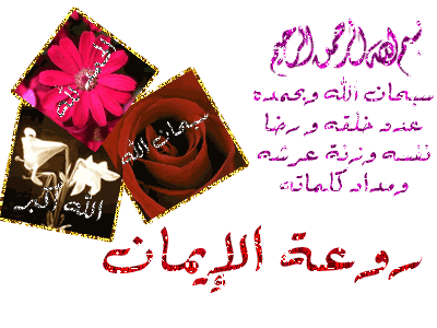 Arabic Graphics Photo Picture