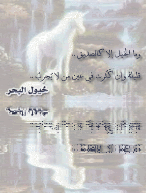 Arabic Graphics Photo Picture