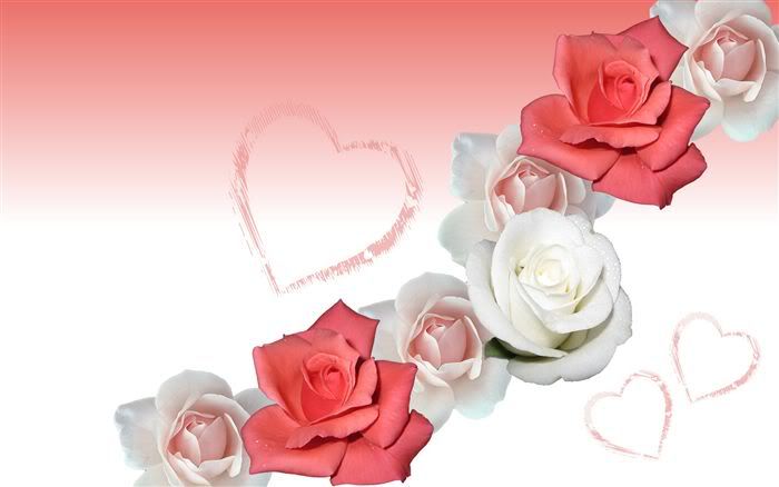 rose wallpaper desktop. flower rose wallpaper desktop.