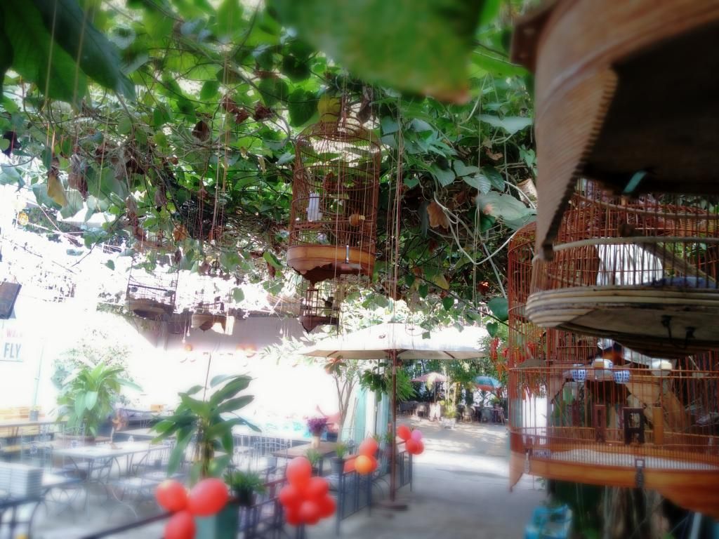 Cội Chim mới Q. Bình Thạnh - 4