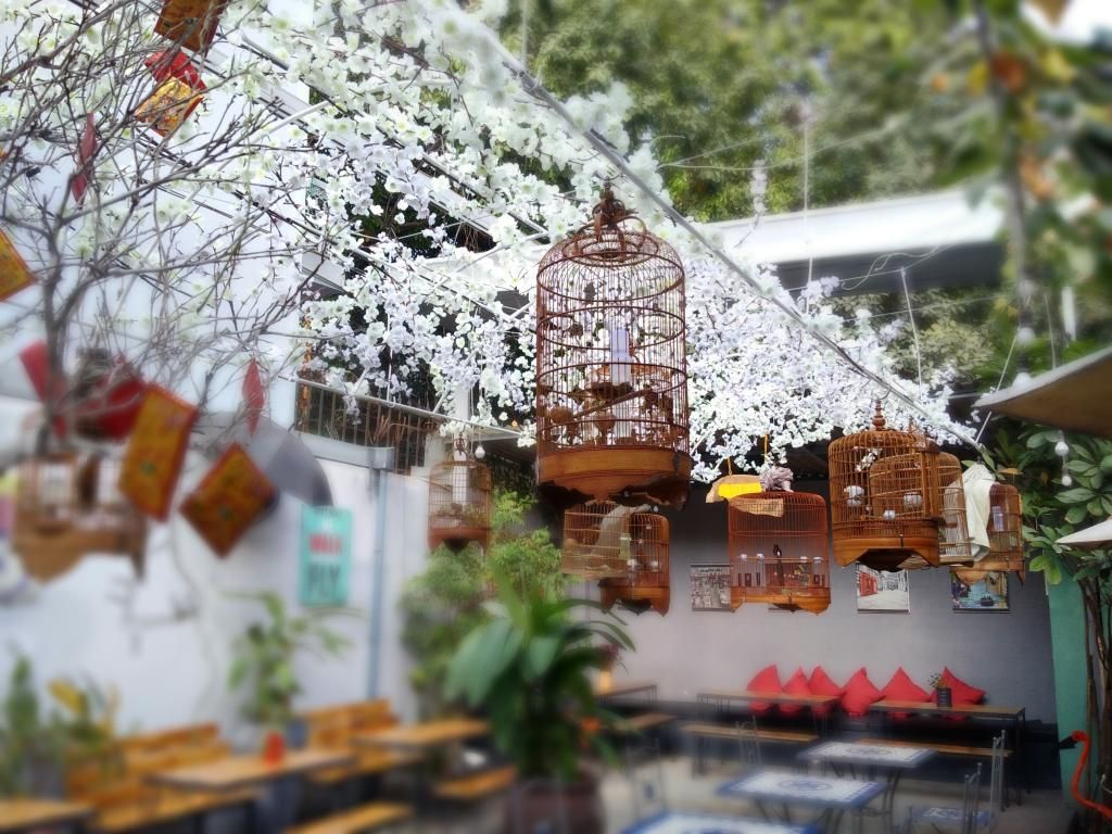 Cội Chim mới Q. Bình Thạnh - 1