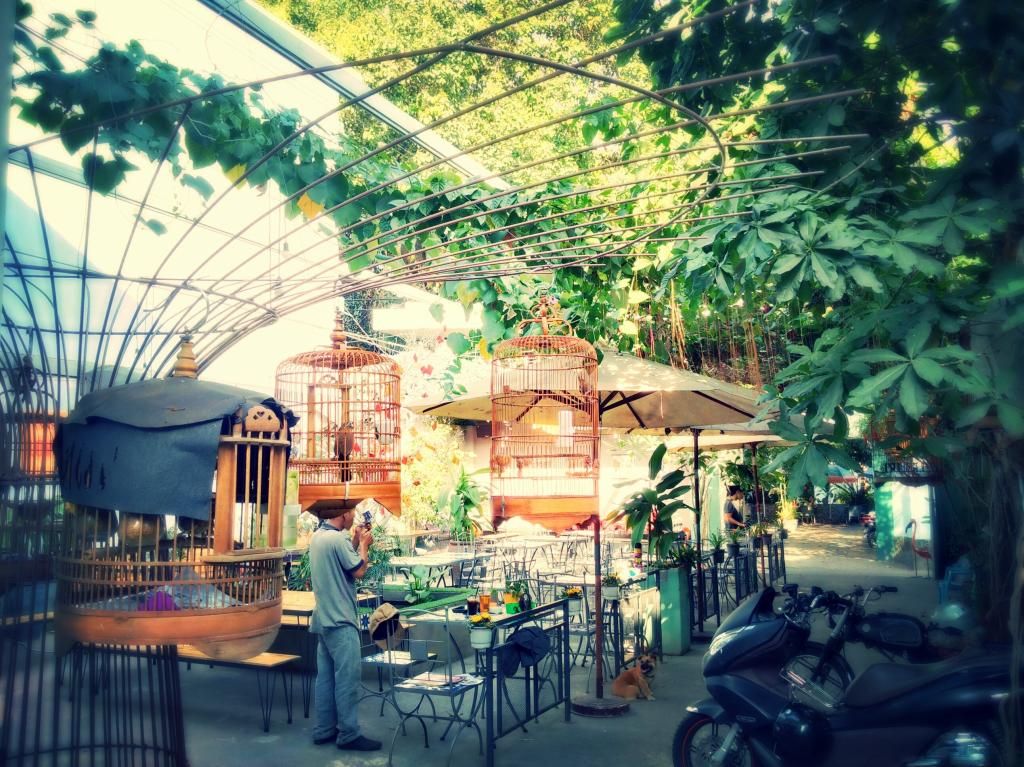 Cội Chim mới Q. Bình Thạnh - 3