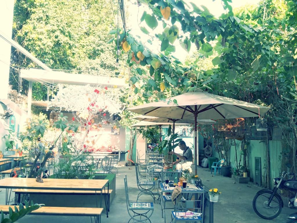 Cội Chim mới Q. Bình Thạnh - 2