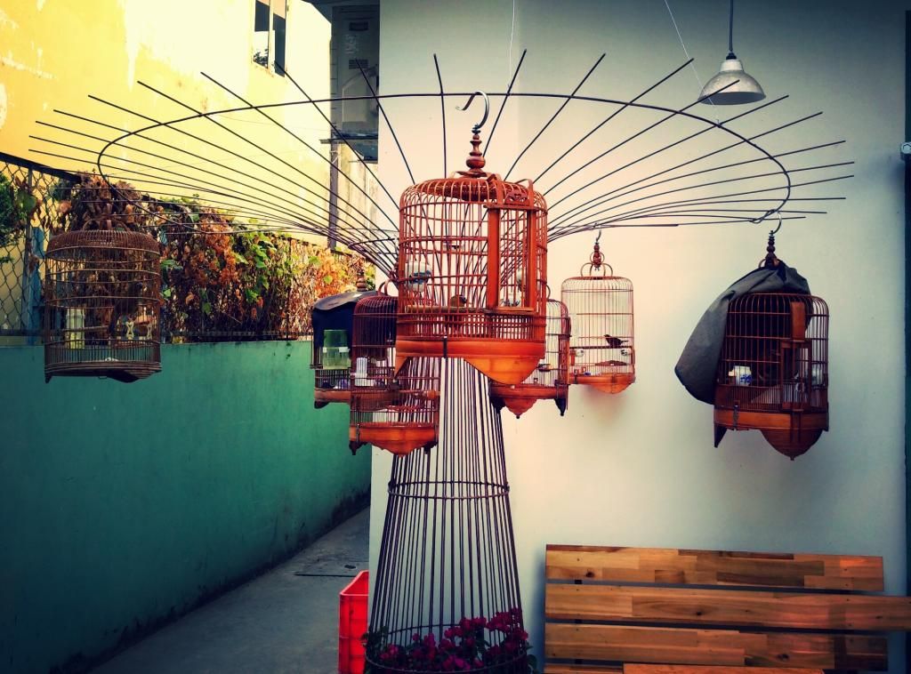 Cội Chim mới Q. Bình Thạnh