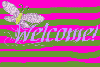 Example Widget