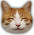 amused Pictures, Images and Photos