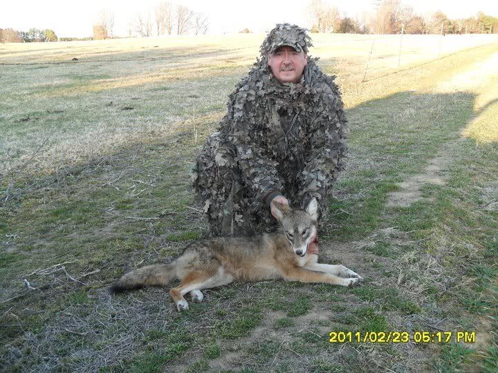 SUCESS HUNTING COYOTES IN VIRGINIA PredatorMasters Forums