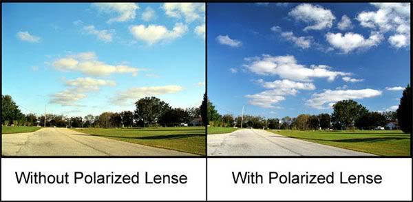 PolarizedLense.jpg