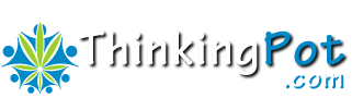 Thinkingpot.com