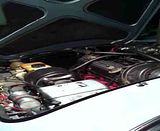 [Afbeelding: th_93f53a8d.jpg]