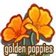 Picture of Golden Poppies Flower on Farmville Game (Facebook)