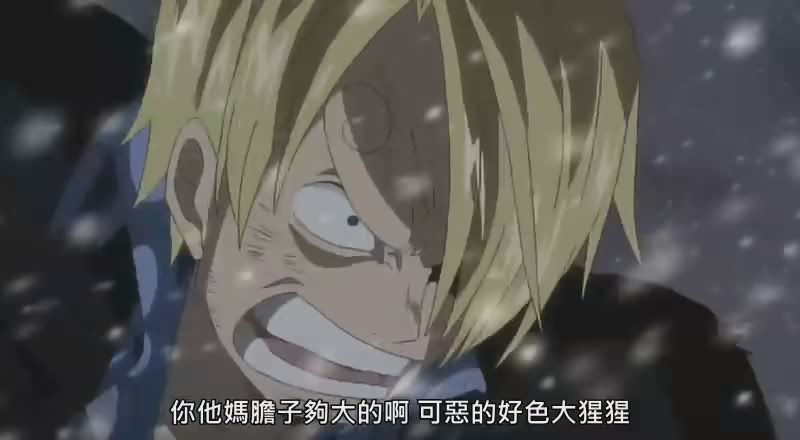 OpfansMaplesnowOne_PieceMovie10Jap_ChtDVDRipRv10_aac800x440crc_9B6AB5A201-59-04.jpg