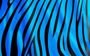 Blue Zebra Stripes Photo by NoVa1803 | Photobucket