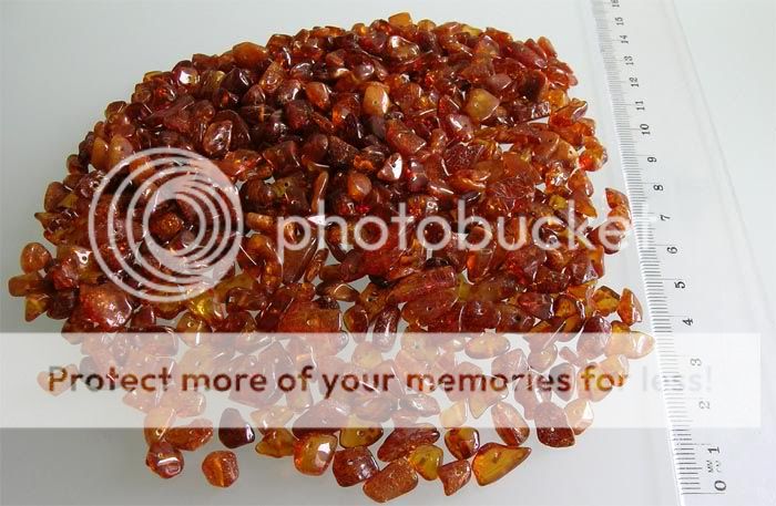 baltic coast i sell genuine authentic real natural baltic amber